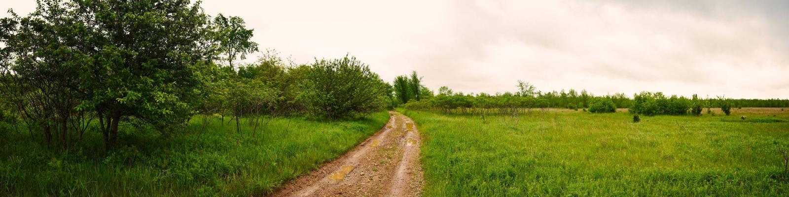 Dirt path through lush green fields under a cloudy sky.